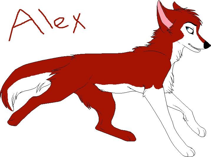 Alex Again.