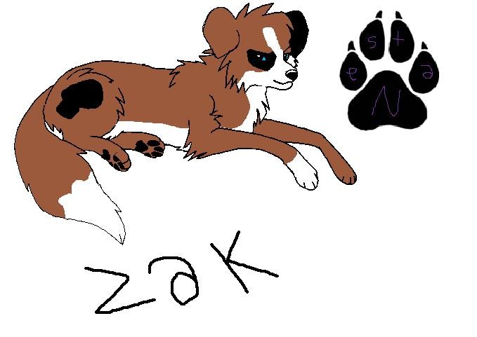 Zak