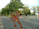 Run!