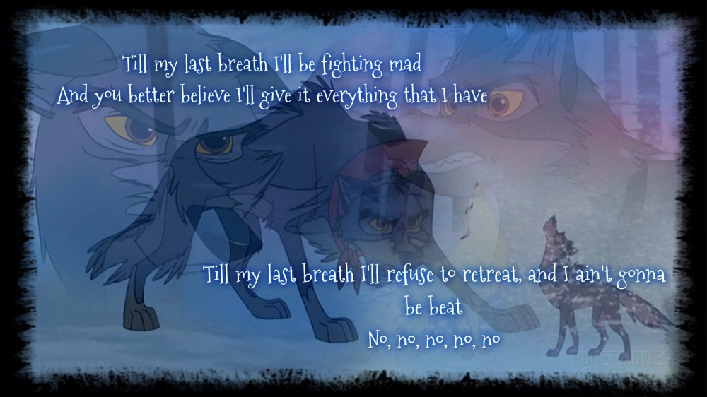 I'm not giving up...