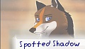 Spotted Shadow
