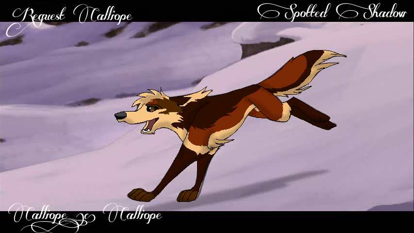 .:Request Calliope:.