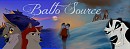 Balto Source Banner