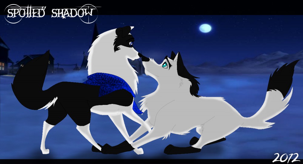 Contest Prize ~ DagTheCoyote