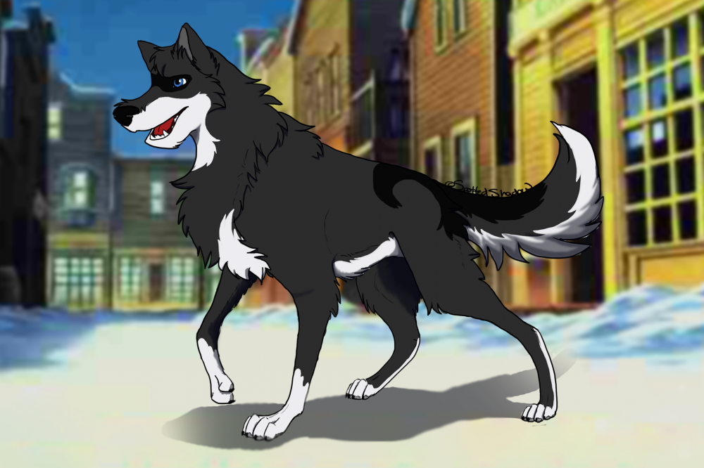 New Character; Patch