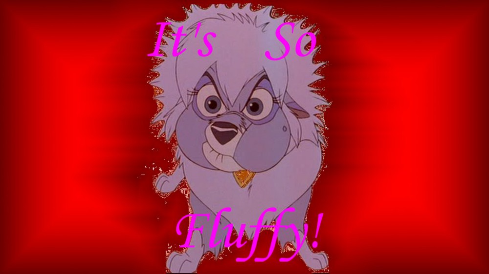 IT'S SO FLUFFY!