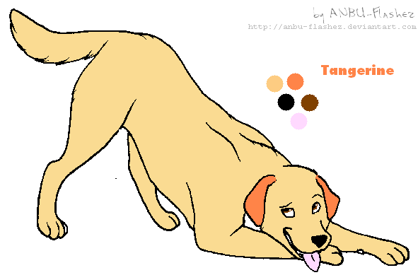 Tangerine REF