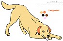 Tangerine REF