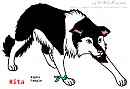 Kita REF