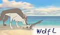 Wolf L