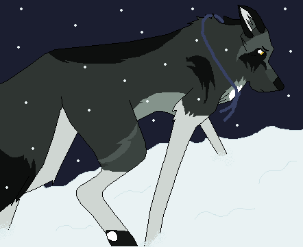 Leading them to Nome