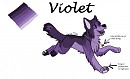 Violet