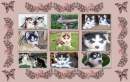 Husky Collage Blue Background