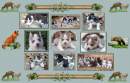 Green Husky Collage