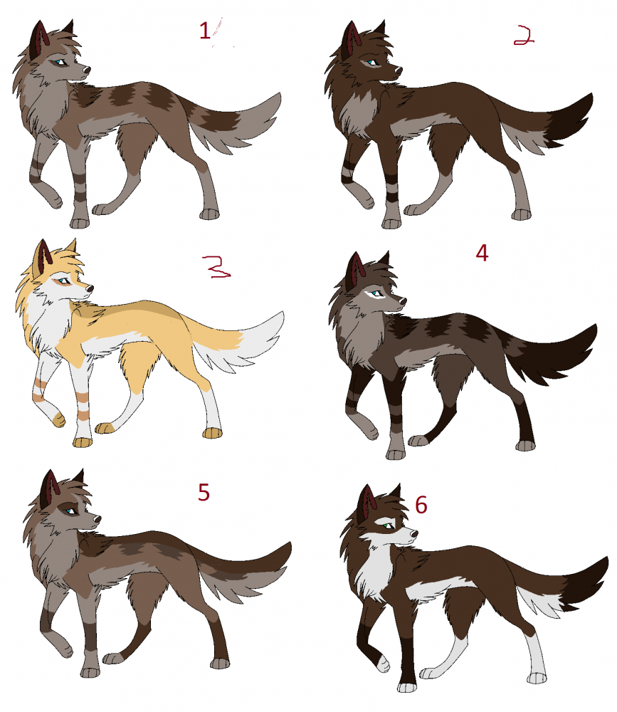 the pups are here! adoptables!