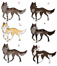 the pups are here! adoptables!