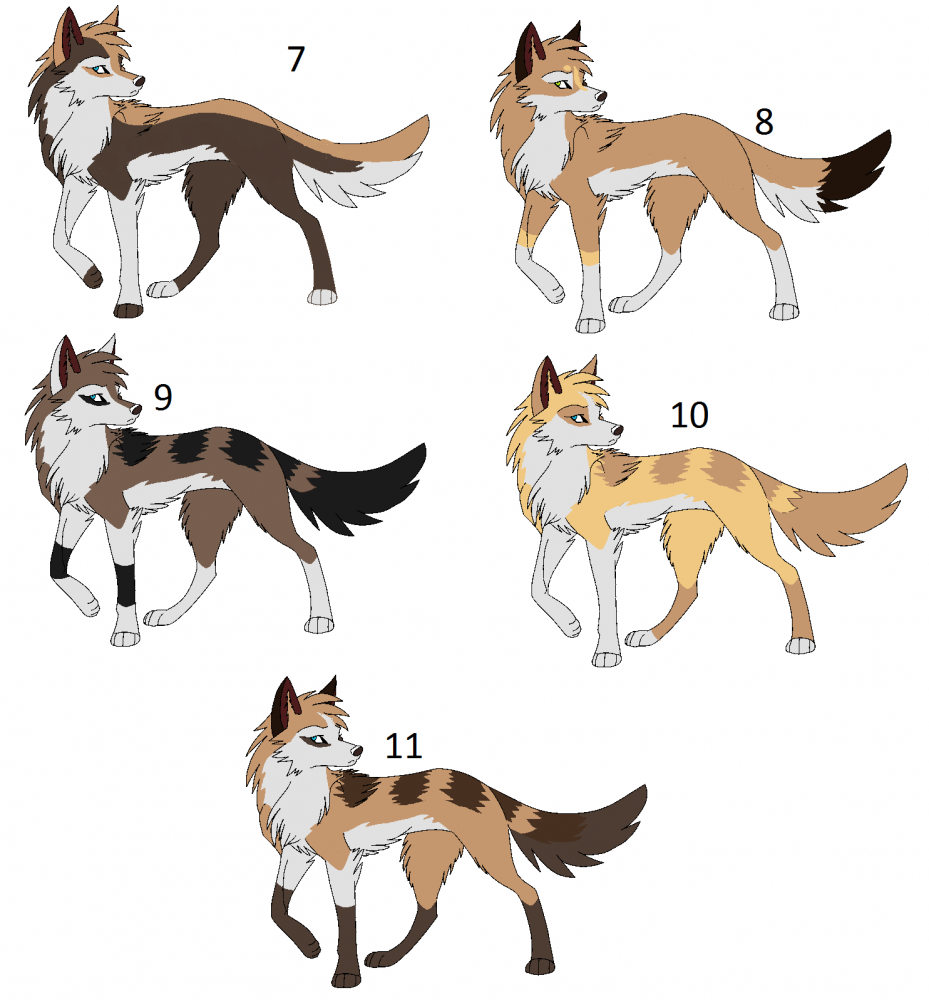 seond litter of pups 