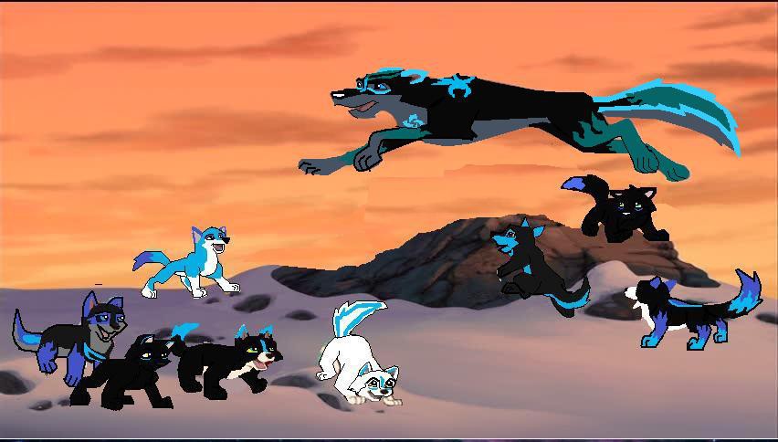 The pups seeing there dad fly