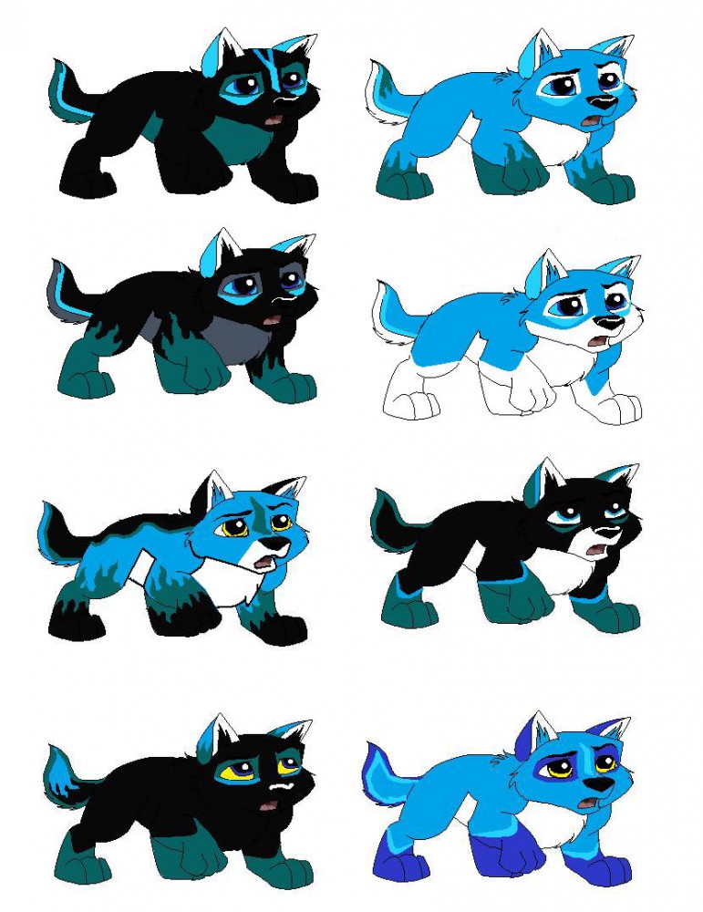 adoptable mercury pups