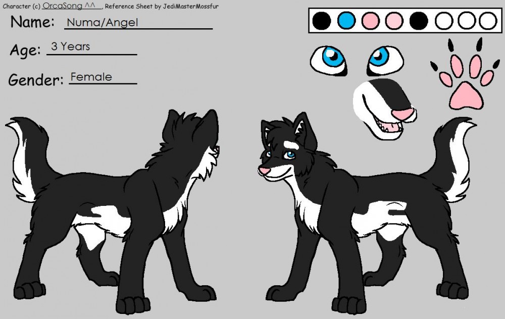 My Reference.