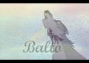 Balto