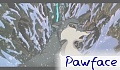 pawface