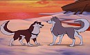 Kodi+ Dusty fan pups ( No spamming) 