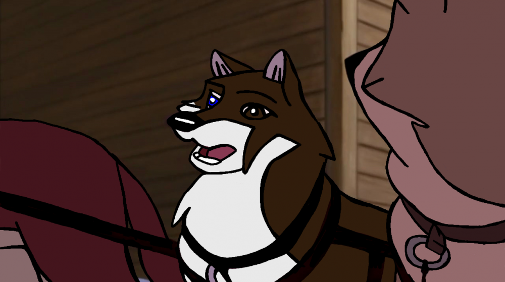 Kodi is the Lead-Dog Now
