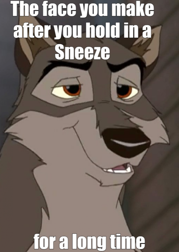Balto-Meme