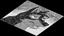 Balto Avatar