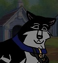 Nenana -- did I do something bad?