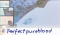 perfectpureblood