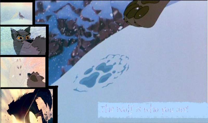 Balto wolf
