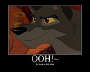 balto see's