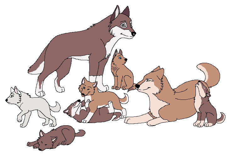 watching the pups at play