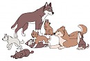 watching the pups at play