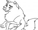 Female wolf.