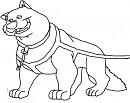 Mail team dog.
