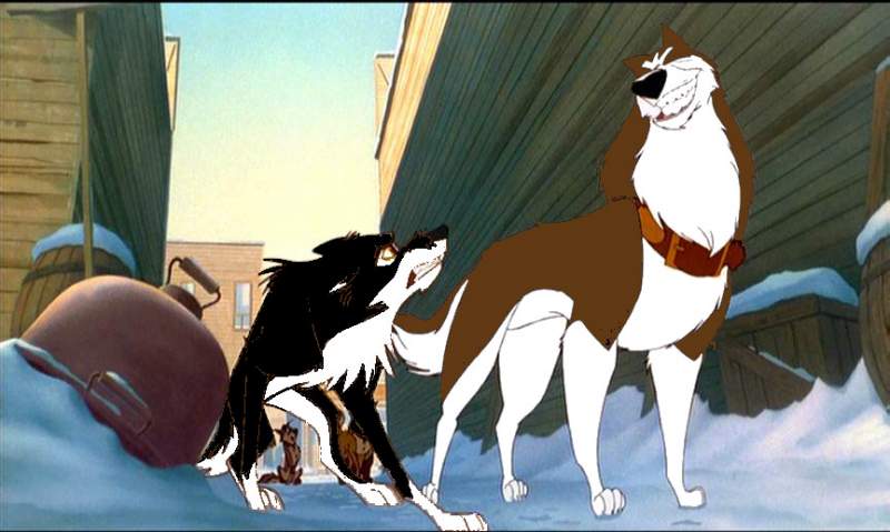 evan and blaze