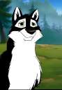 evan