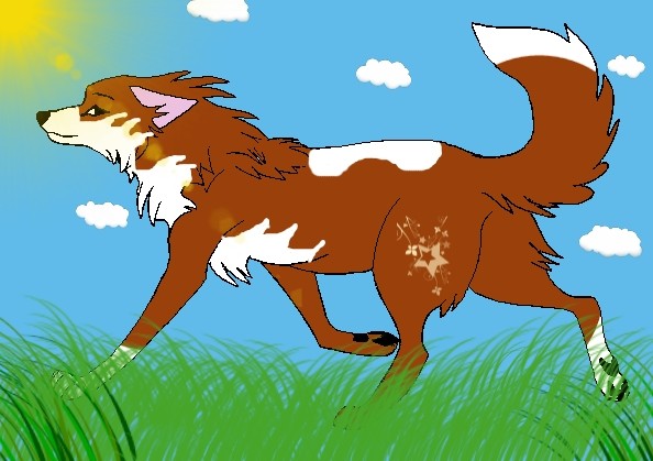 Balto