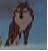 the wolfey from the first movie!