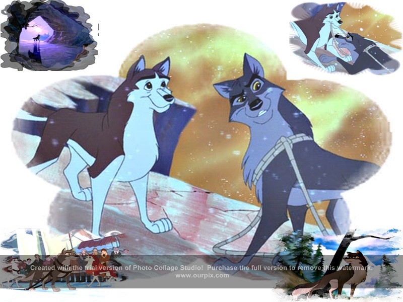 balto new collage 