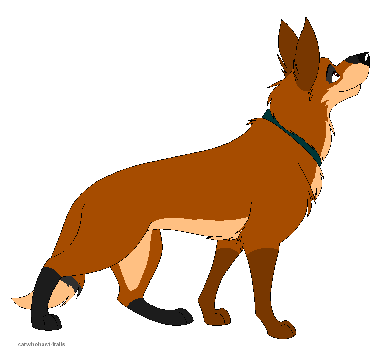 My Fursona in GSD Form