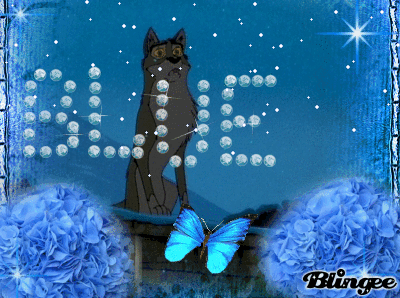 Balto Graphic