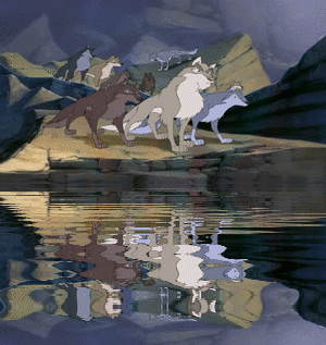Nava and his Pack Near The Water