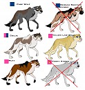 Adoptables!! :D