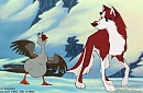  Dingo boy, look! 