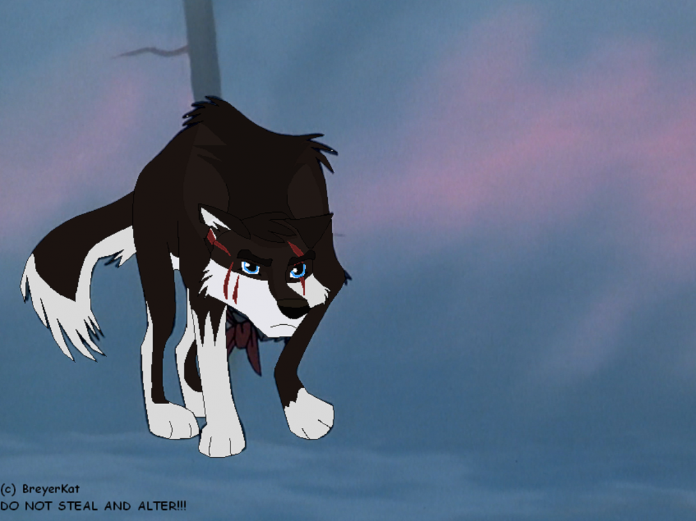 I will Not Fall