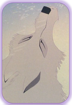 Aniu
